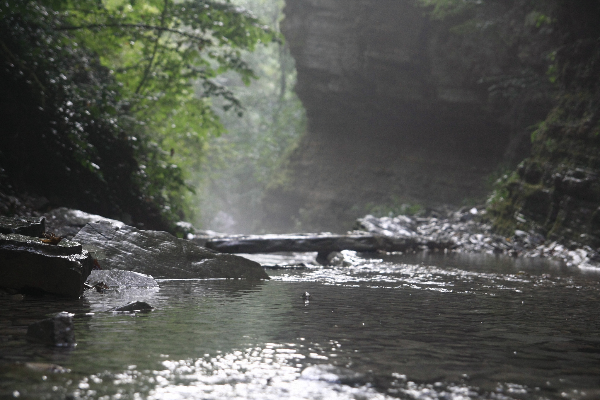 First lap. Conversations with stones - My, Forest, The mountains, Caucasus, Waterfall, Dolmens, Hike, Travels, First post, Longpost