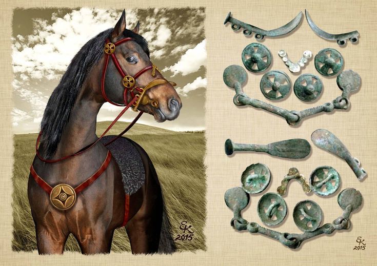 Scythian armored cavalry - History (science), Scythians, Cataphracts, Don, Longpost