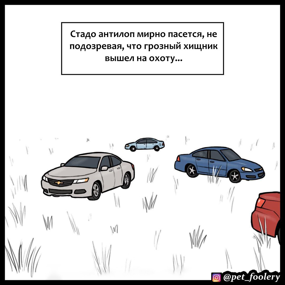 В мире машин | Пикабу