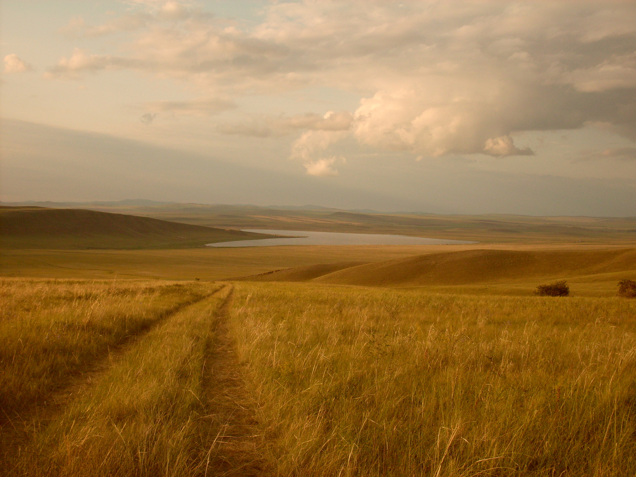 Nostalgia - My, Nature, The photo, Longpost