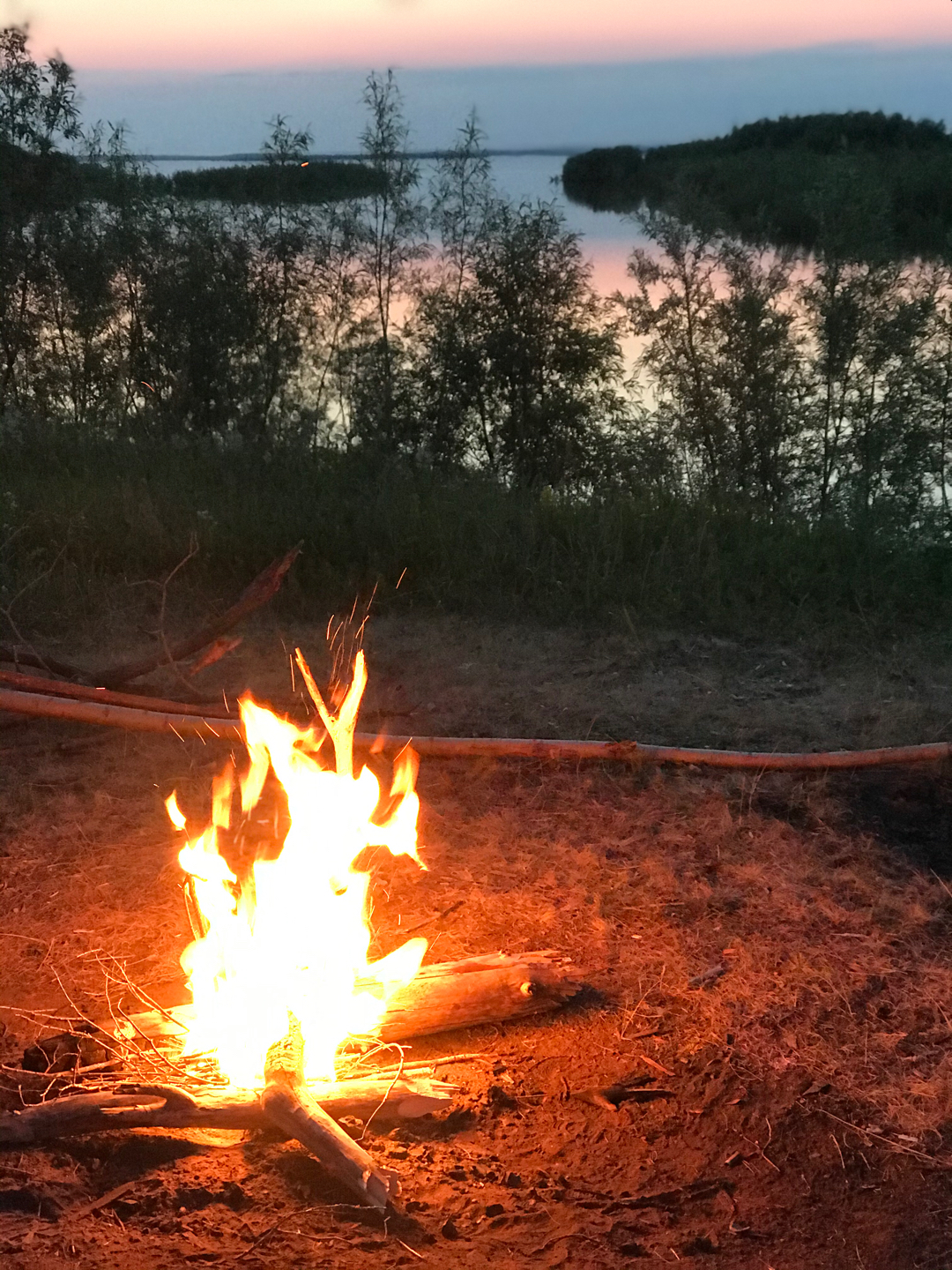 Outing with son or men's toys - My, Jeep, Forest, River, Fishing, Road, Dog, Labrador, Longpost