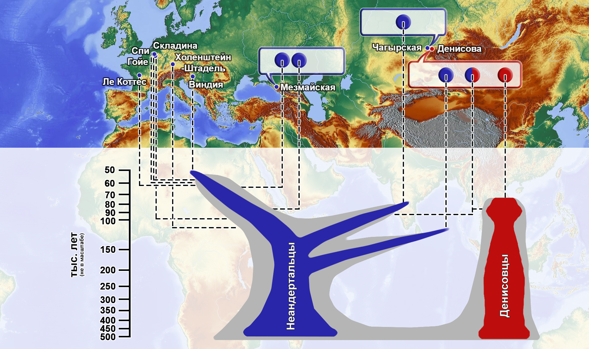 Siberian Neanderthals were from different waves of migrations (DNA from the Chagyrskaya cave of Altai) - My, The science, Archeology, Paleogenetics, Neanderthal, DNA, Denisovsky Man, Population genetics, Video, GIF, Longpost