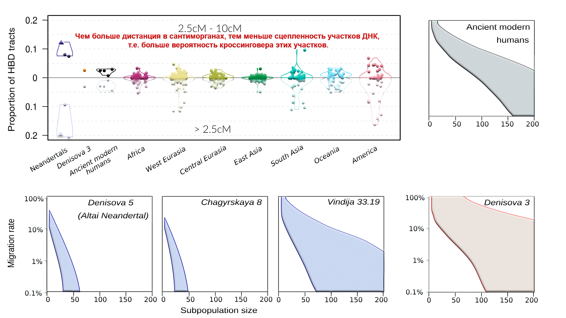 Siberian Neanderthals were from different waves of migrations (DNA from the Chagyrskaya cave of Altai) - My, The science, Archeology, Paleogenetics, Neanderthal, DNA, Denisovsky Man, Population genetics, Video, GIF, Longpost