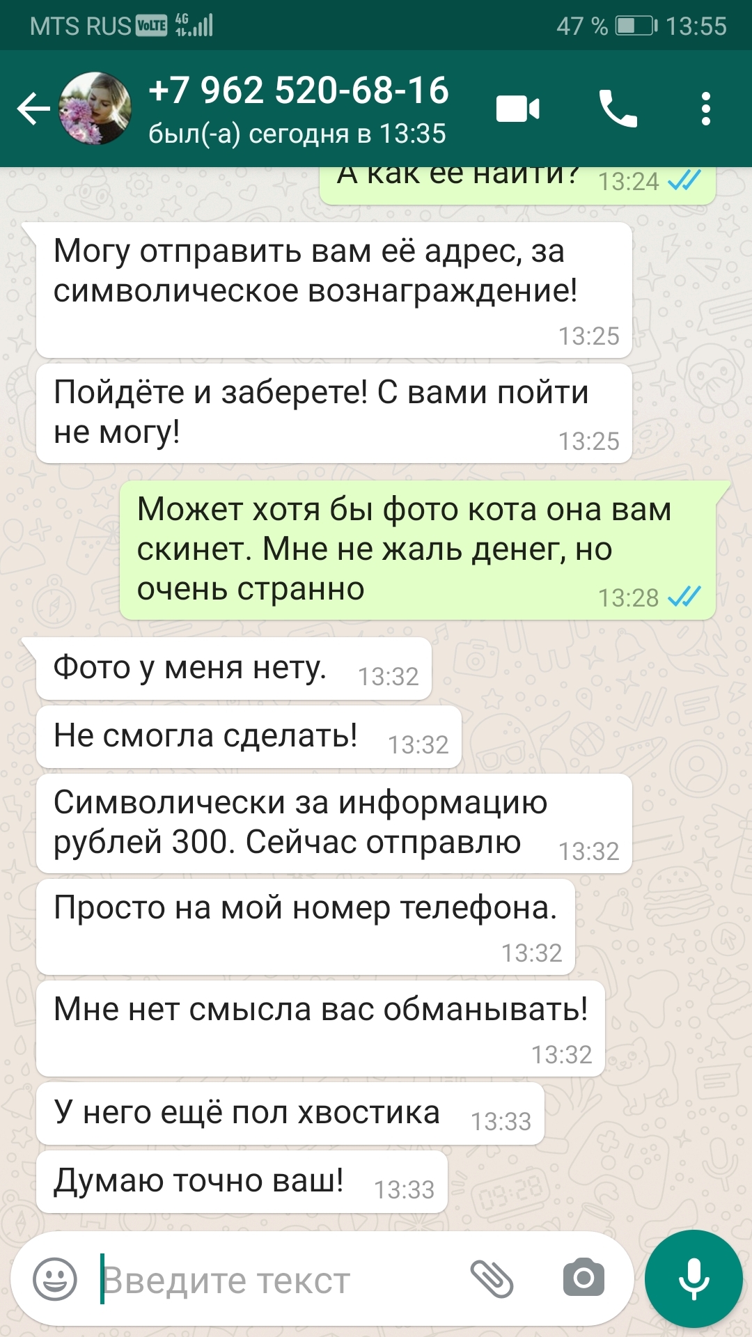 Развод на святом. На котиках - Моё, Кот, Коты и собаки вместе, Потеряшка, Обман, Длиннопост, Скриншот, Мошенничество, Вымогательство, Негатив