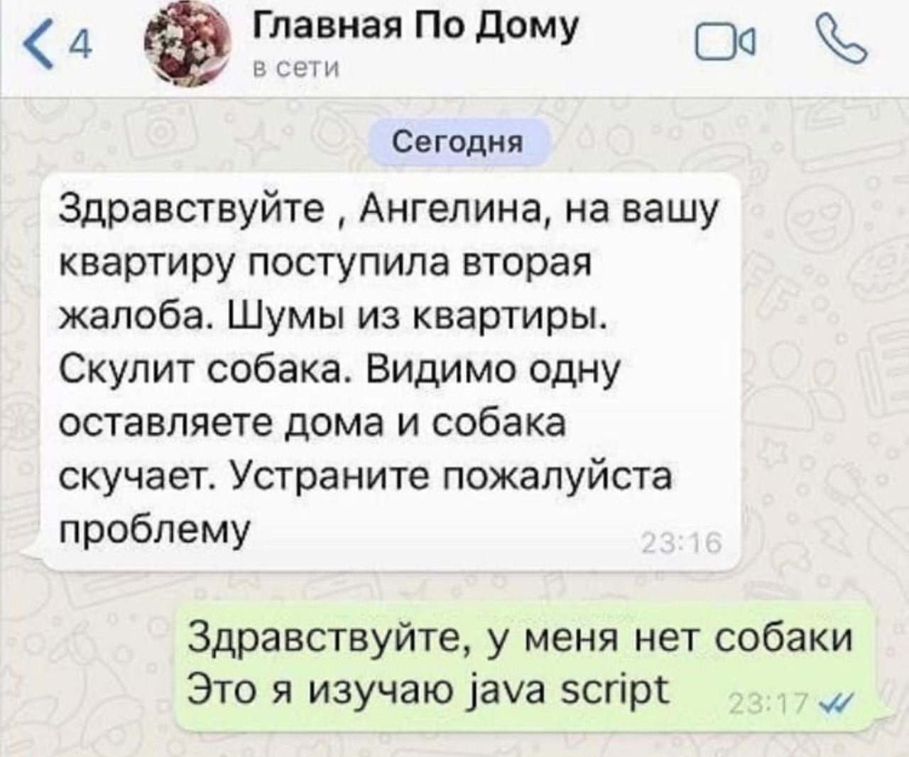 Так становяться Java Script программистами... | Пикабу