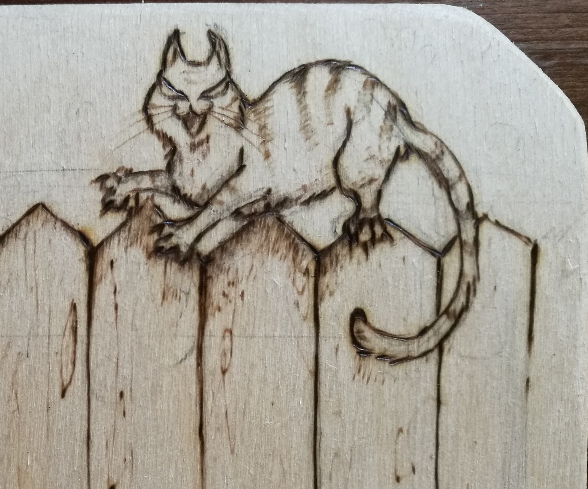 For those who like to look behind other people's fences - My, Humor, Animals, Mat, Longpost, Pyrography, Dog