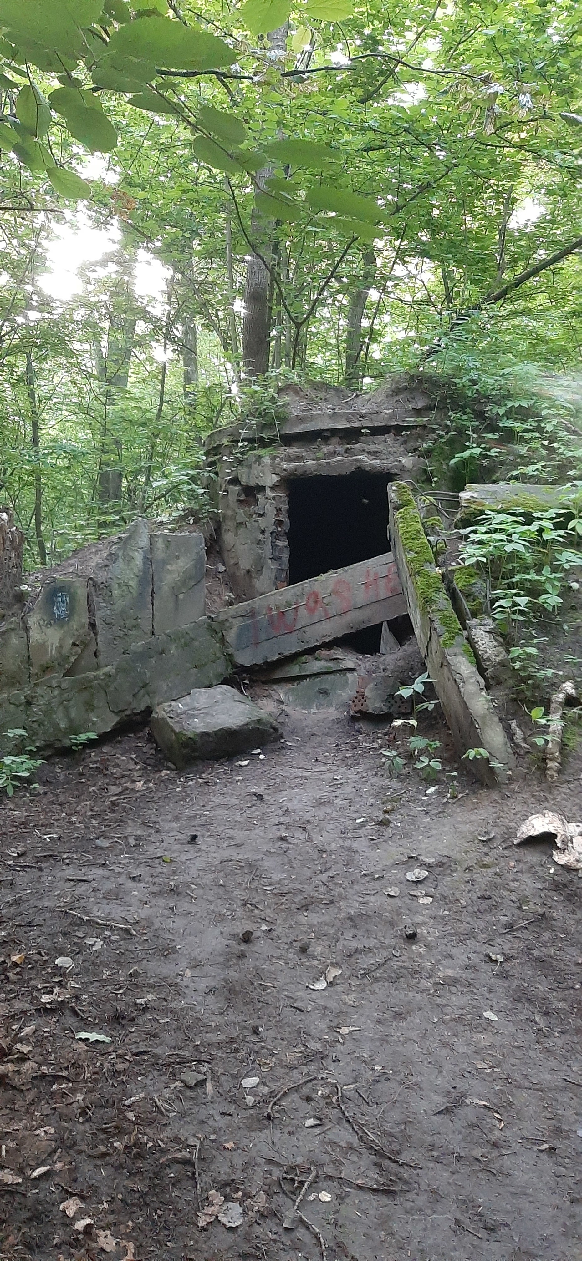 Interesting bunker - Bunker, The park, Longpost