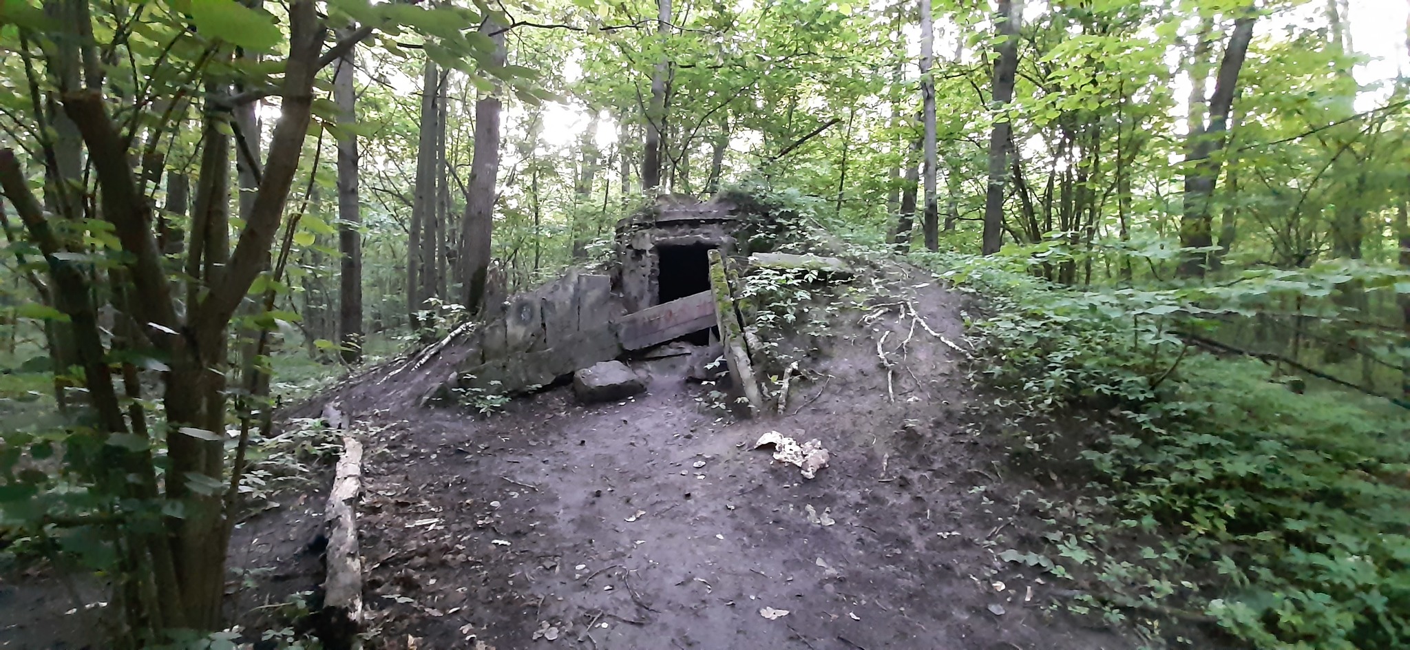 Interesting bunker - Bunker, The park, Longpost