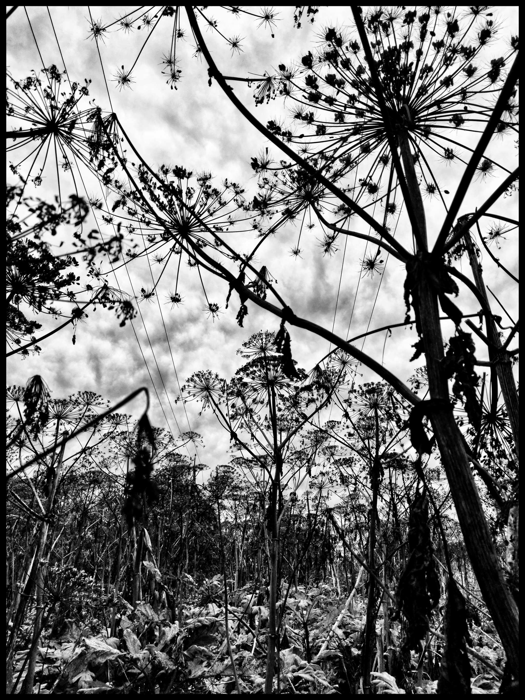 Point of view - My, Photo on sneaker, Nature, Work, Longpost, Thoughts