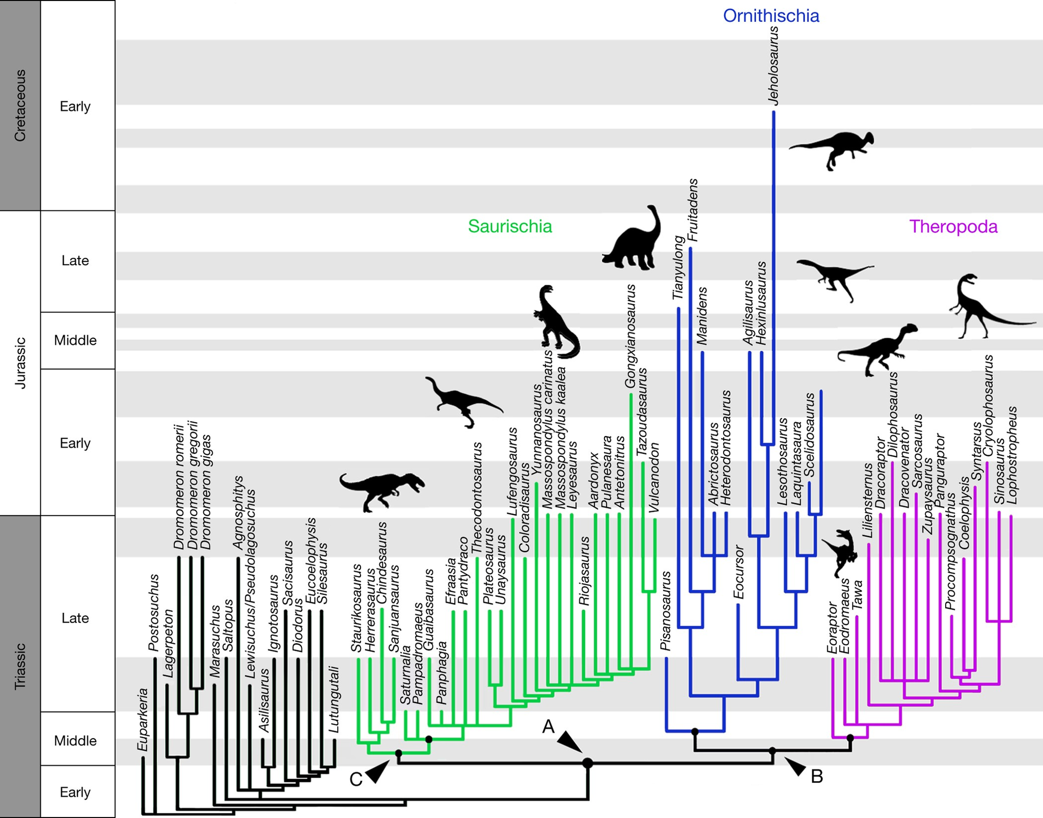 How many dinosaurs were there? - My, Dinosaurs, Paleontology, Statistics, Evolution, The science, Longpost