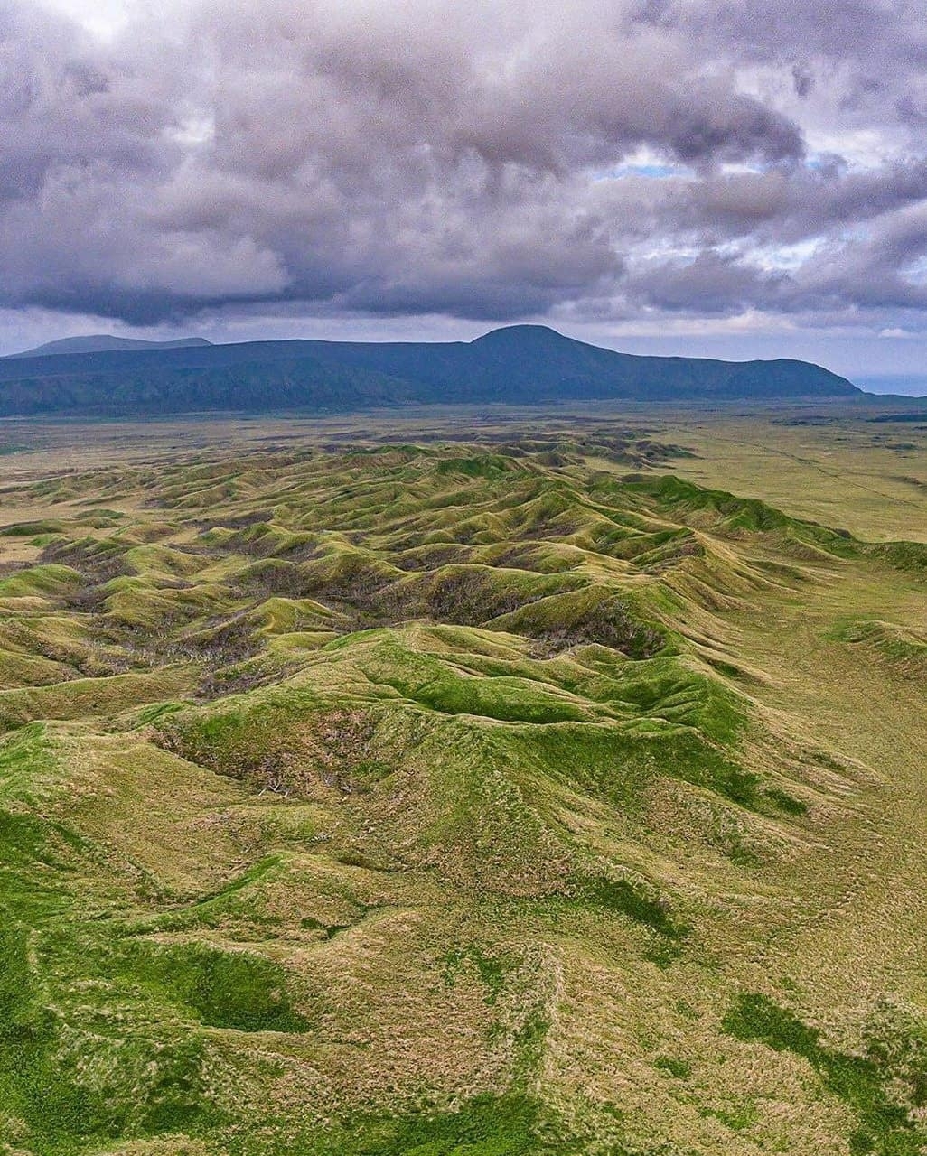 Белые скалы на Курилах - Курильские острова, Скалы, Природа, Россия, Фотография, Длиннопост, Побережье