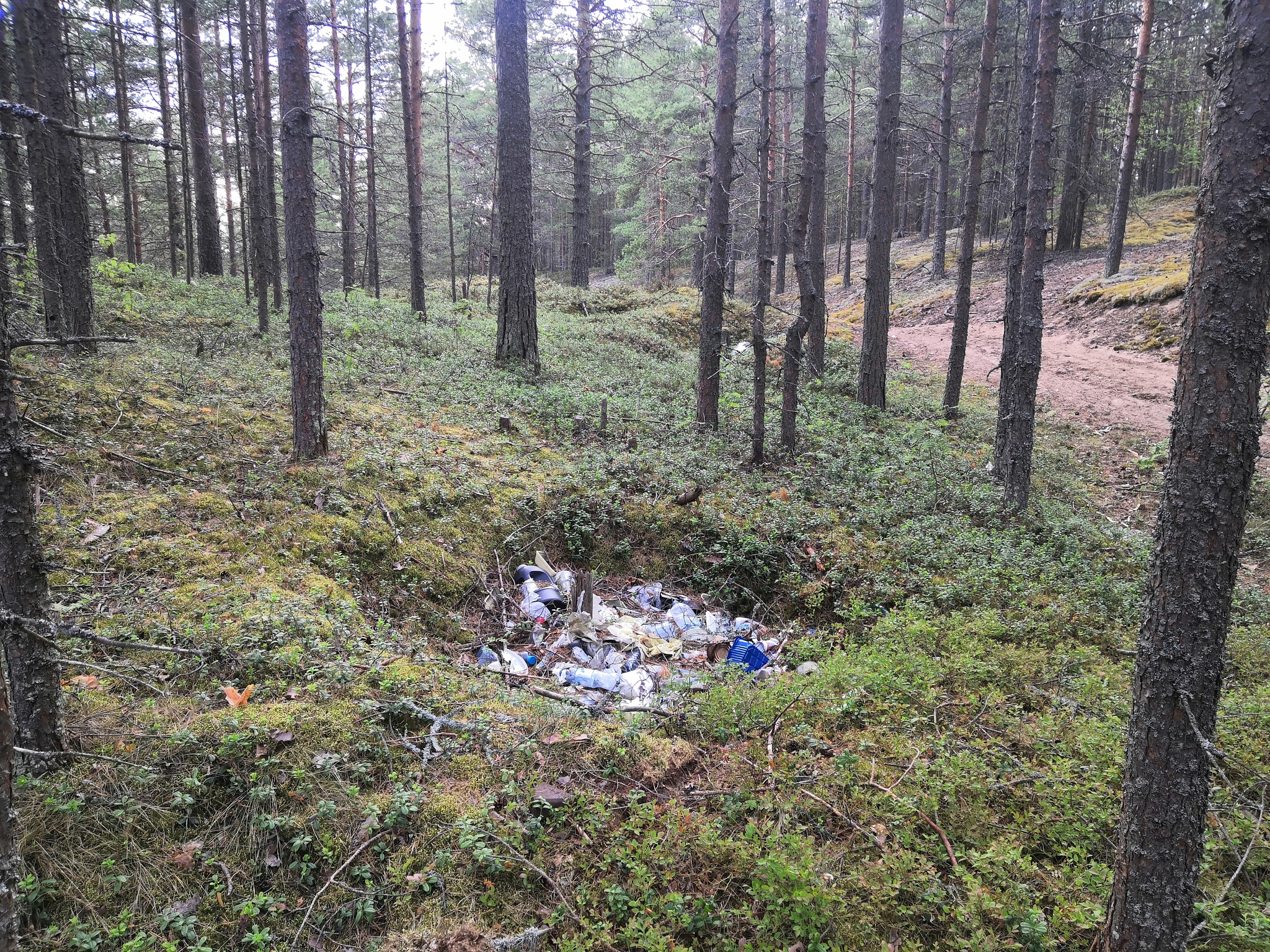 Ladoga lake. Beach and mountains of garbage - My, Garbage, Negative, Nature, Longpost, Ladoga lake