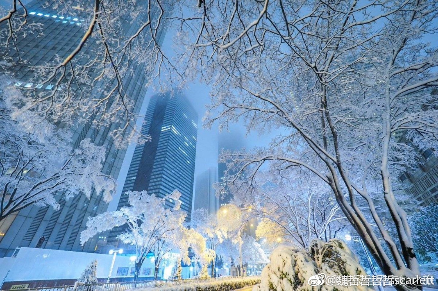 Tokyo in winter - Japan, Tokyo, Winter, Snow, Longpost