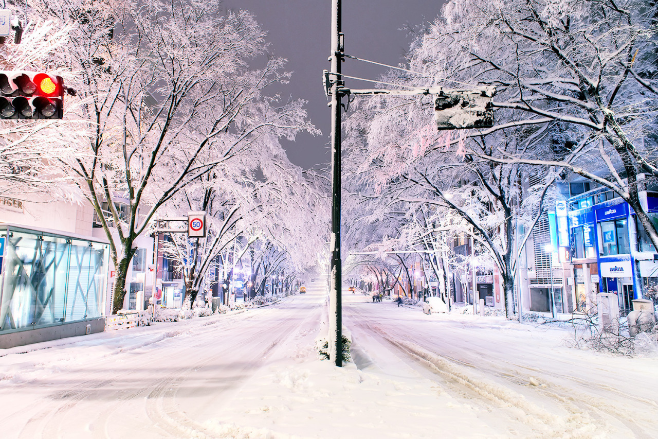 Tokyo in winter - Japan, Tokyo, Winter, Snow, Longpost