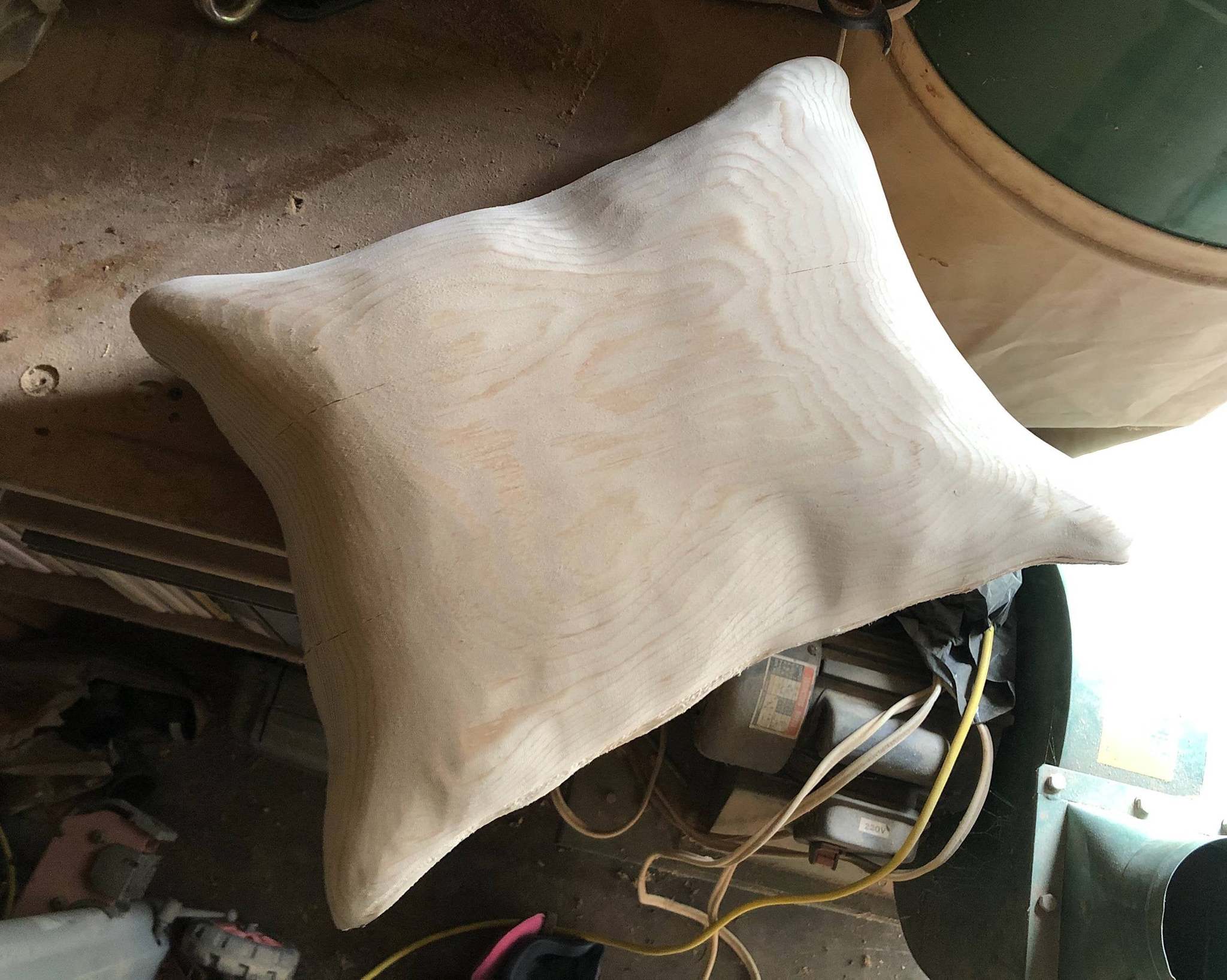 “Last time at the party I lost a pillow fight, but I was much better prepared for today’s fight.” - Tree, Pillow, Woodworking, Reddit, The photo, Carpenter