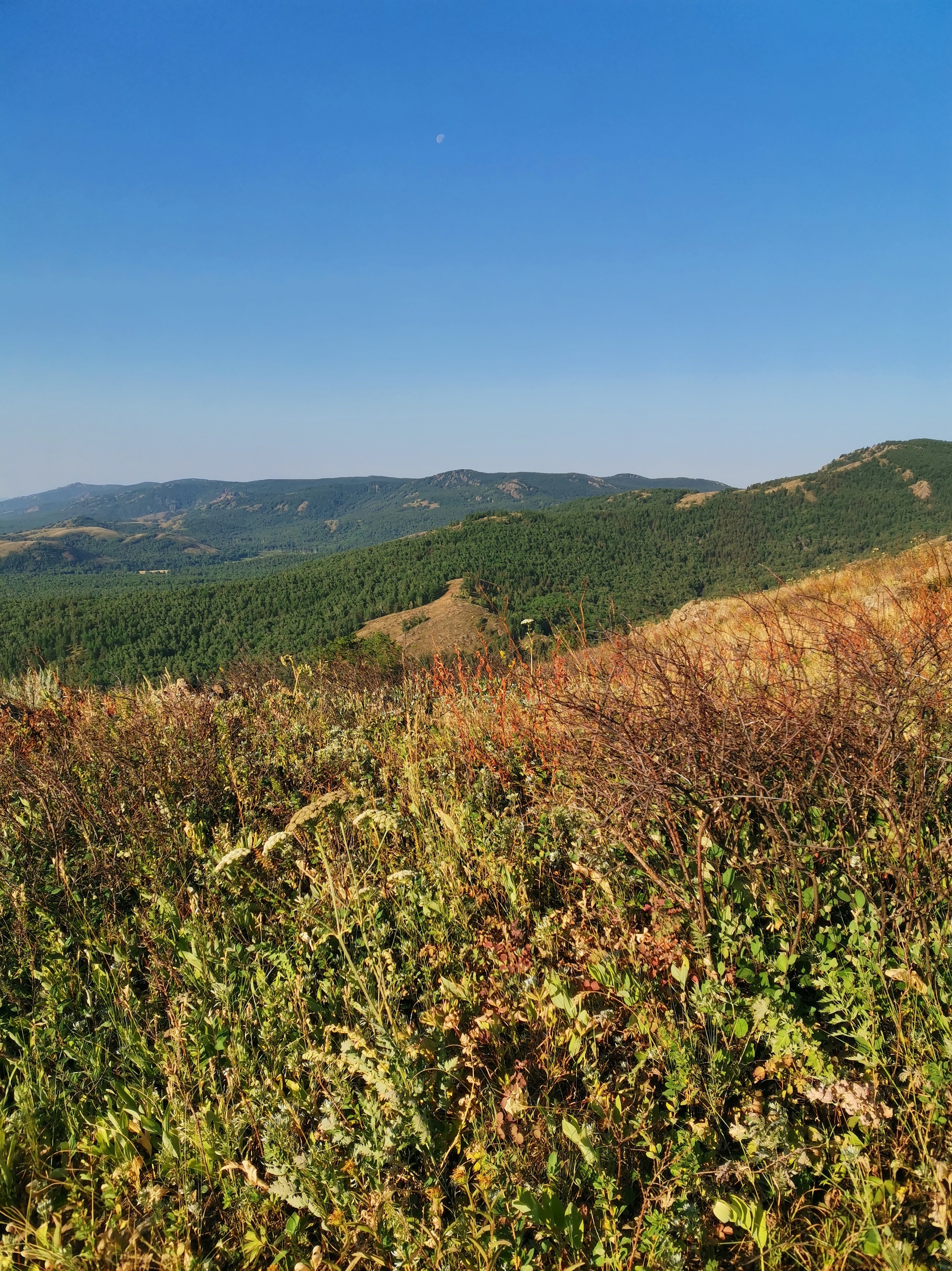 Mount Kushay is one of the highest peaks of the Kryktytau ridge - My, Southern Urals, The photo, Nature, The mountains, Travels, Longpost