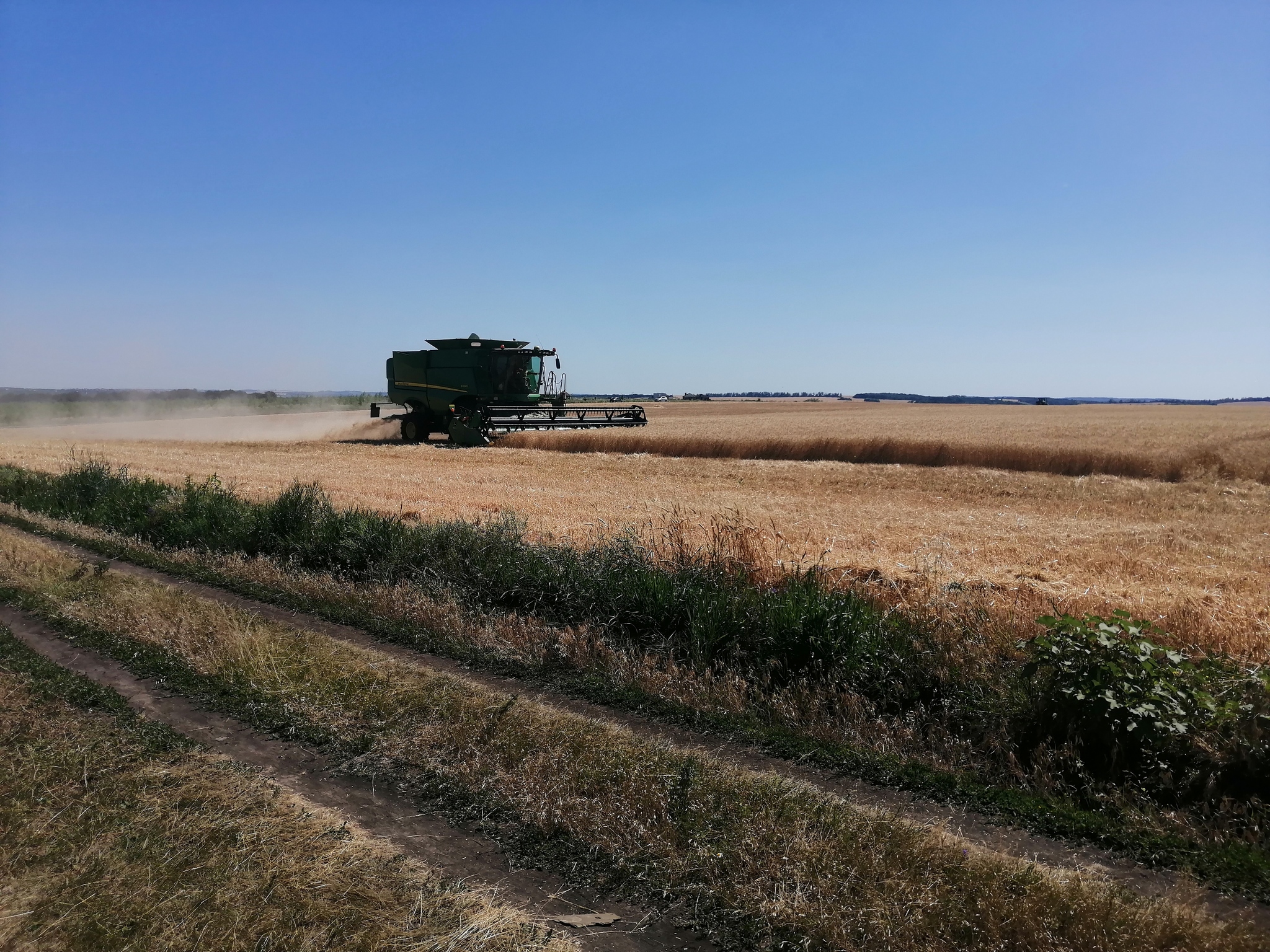 This is how we started - Сельское хозяйство, Cleaning, Wheat, Combine harvester, Longpost