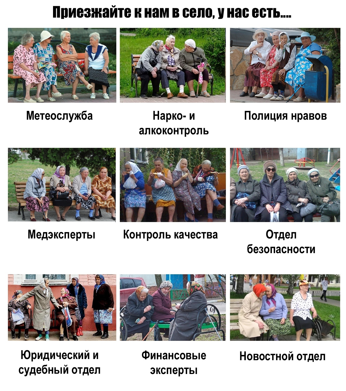 Come to our village, we have... - My, Come to us, Grandma, Expert, Grandma at the entrance, Village