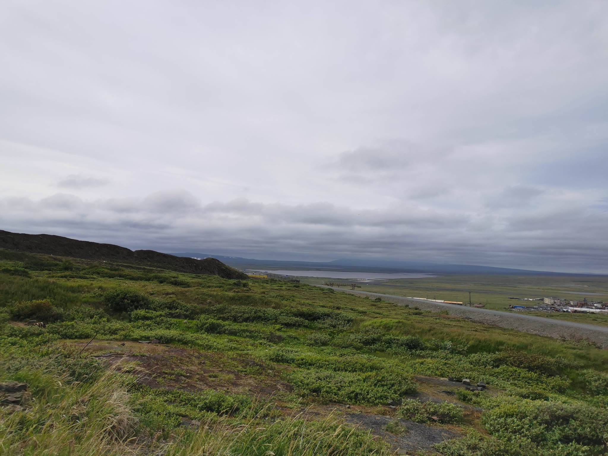 Evrazhka - My, Wild animals, Chukotka, Anadyr, Vertical video, Nature, Video, Longpost, Gopher