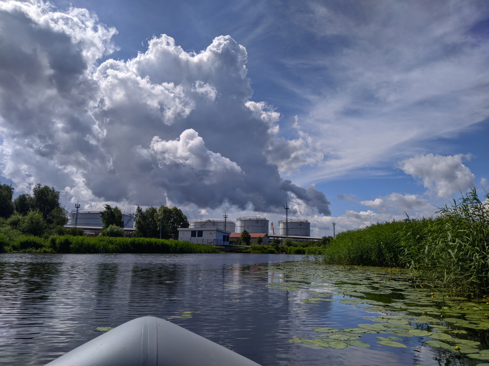 Fishing, perch, nature - My, Fishing, Perch, Nature, Longpost