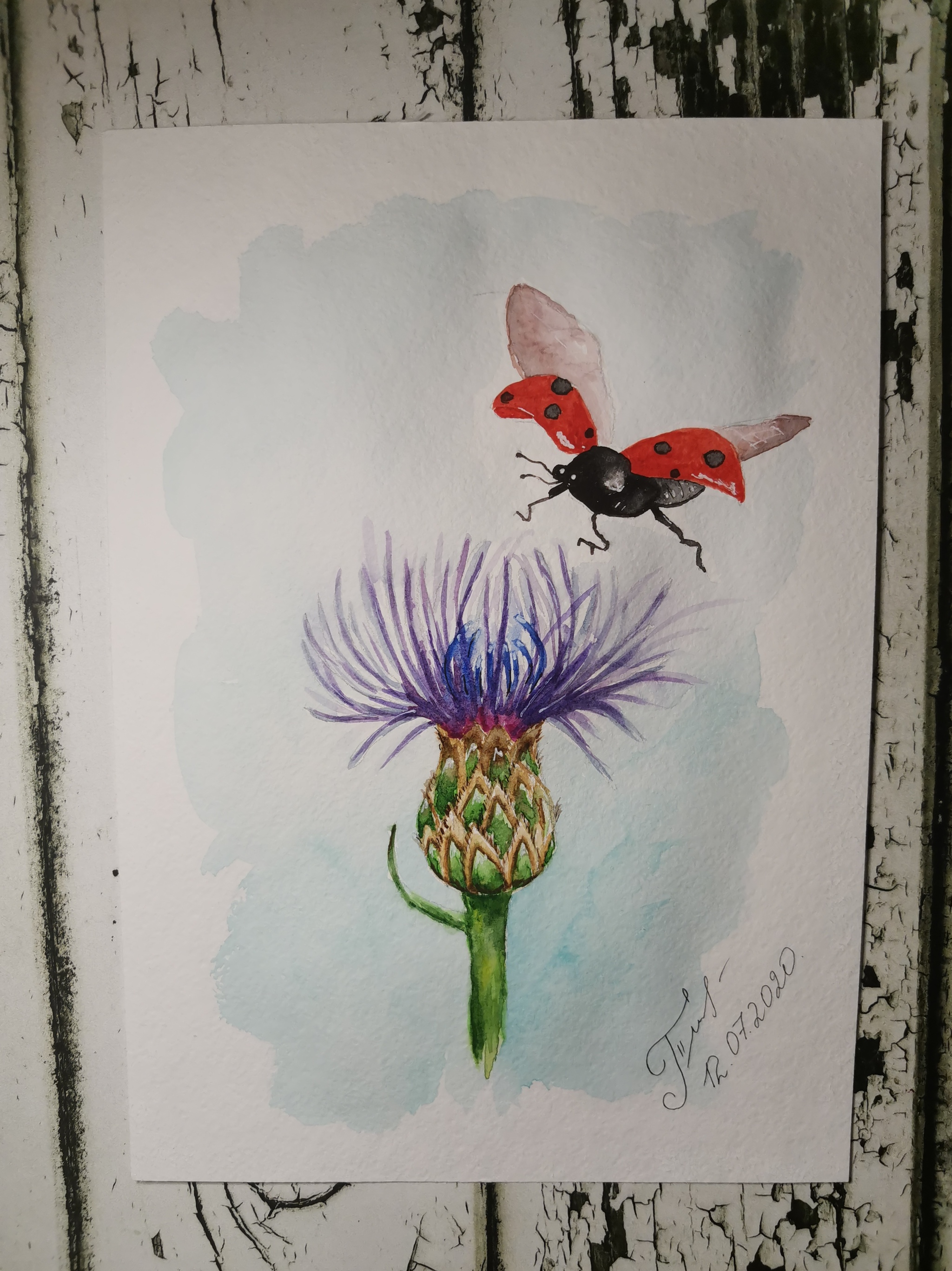 And again my kala-malya.. I’m learning to draw - My, ladybug, Cornflower, Drawing, Watercolor, Learning to draw