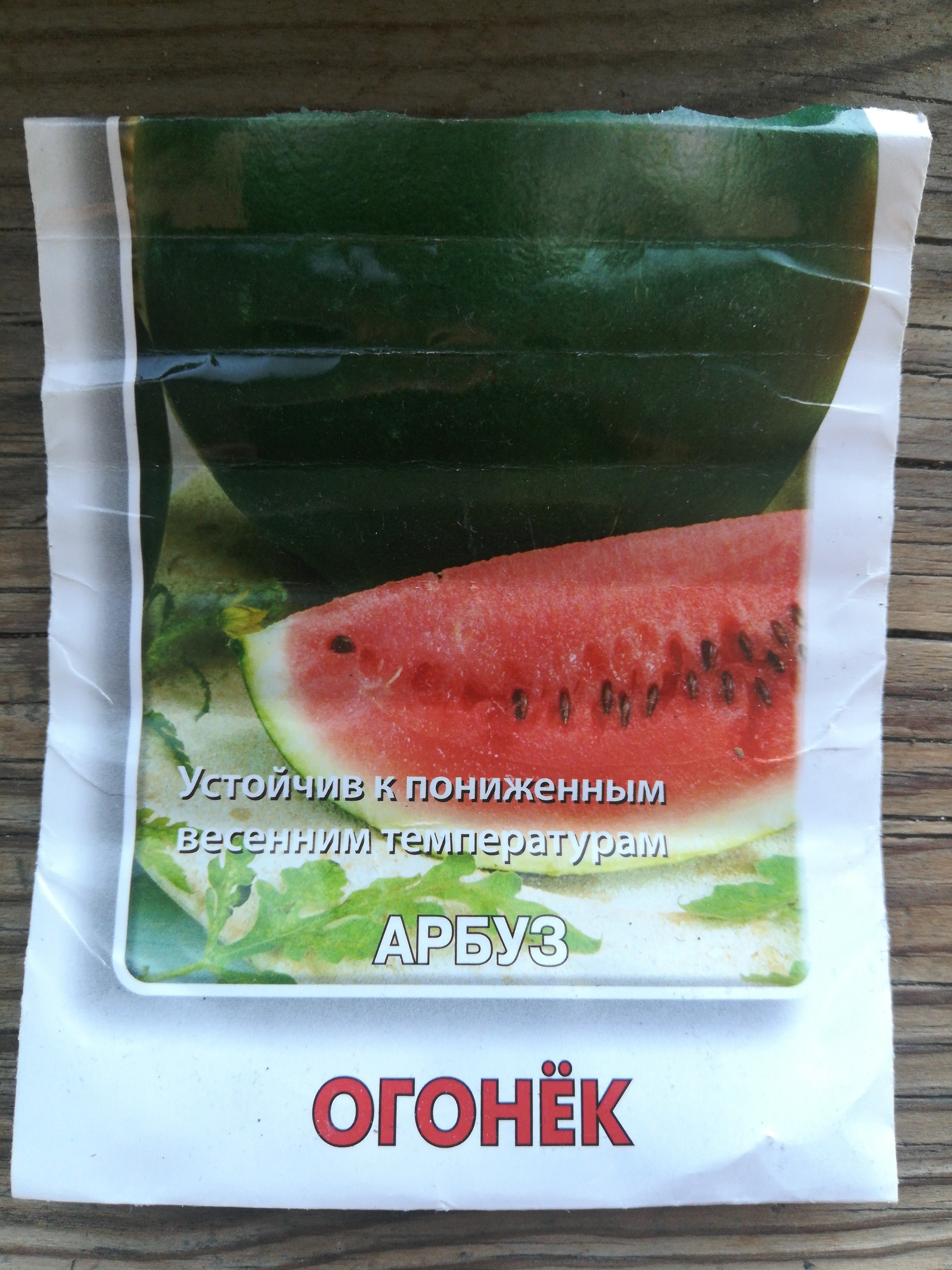 Watermelon on the balcony - My, Balcony, Watermelon, Megapolis, Gardening, Longpost, Yekaterinburg