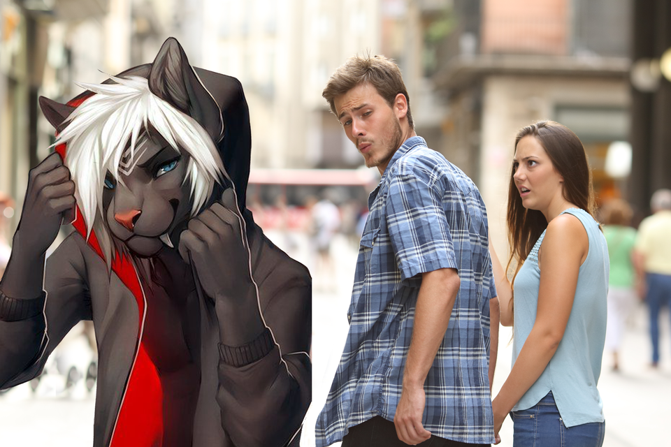 Unfaithful guy and his strange tastes - Furry, Furry art, Memes, Wrong guy