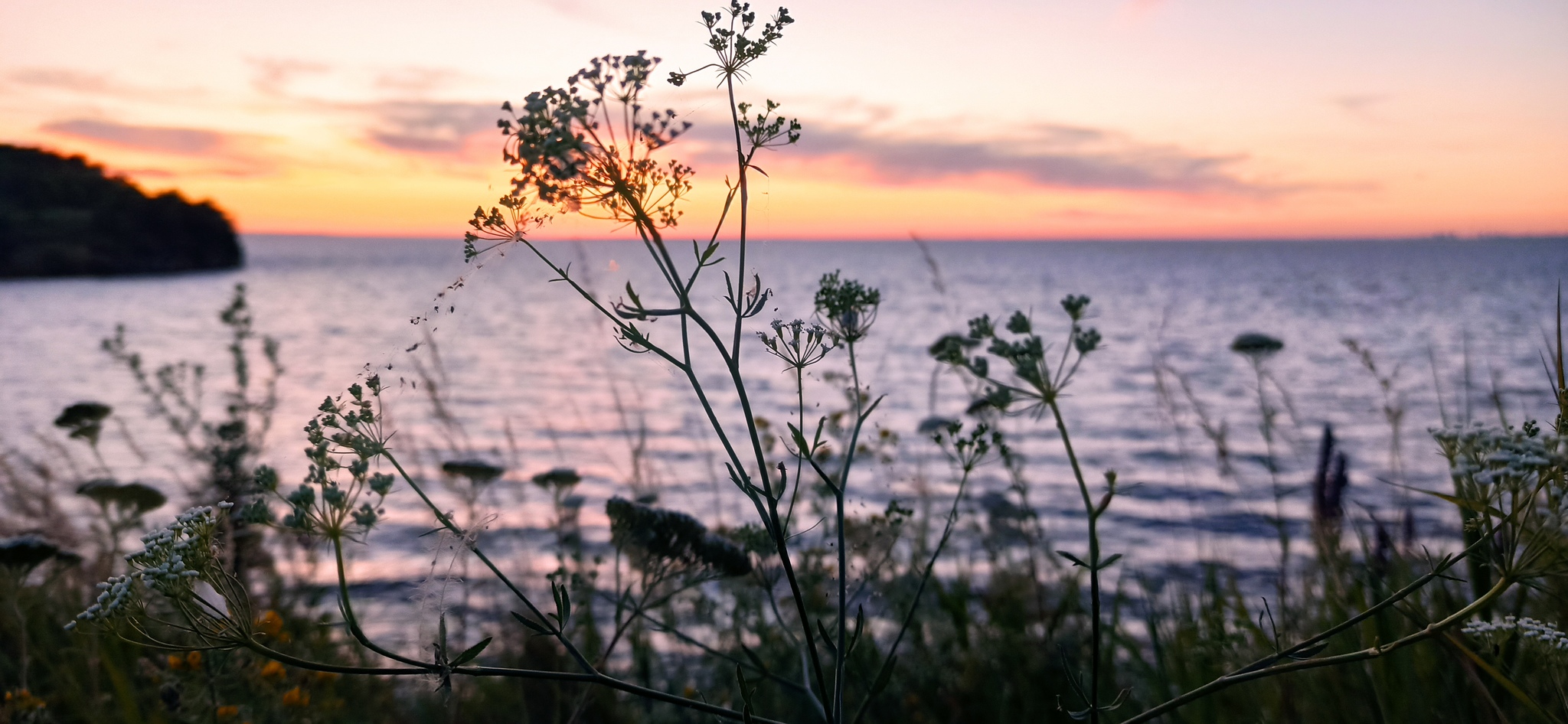 Zhigulevskoe Sea - My, Samara Region, Molodetsky Kurgan, Summer