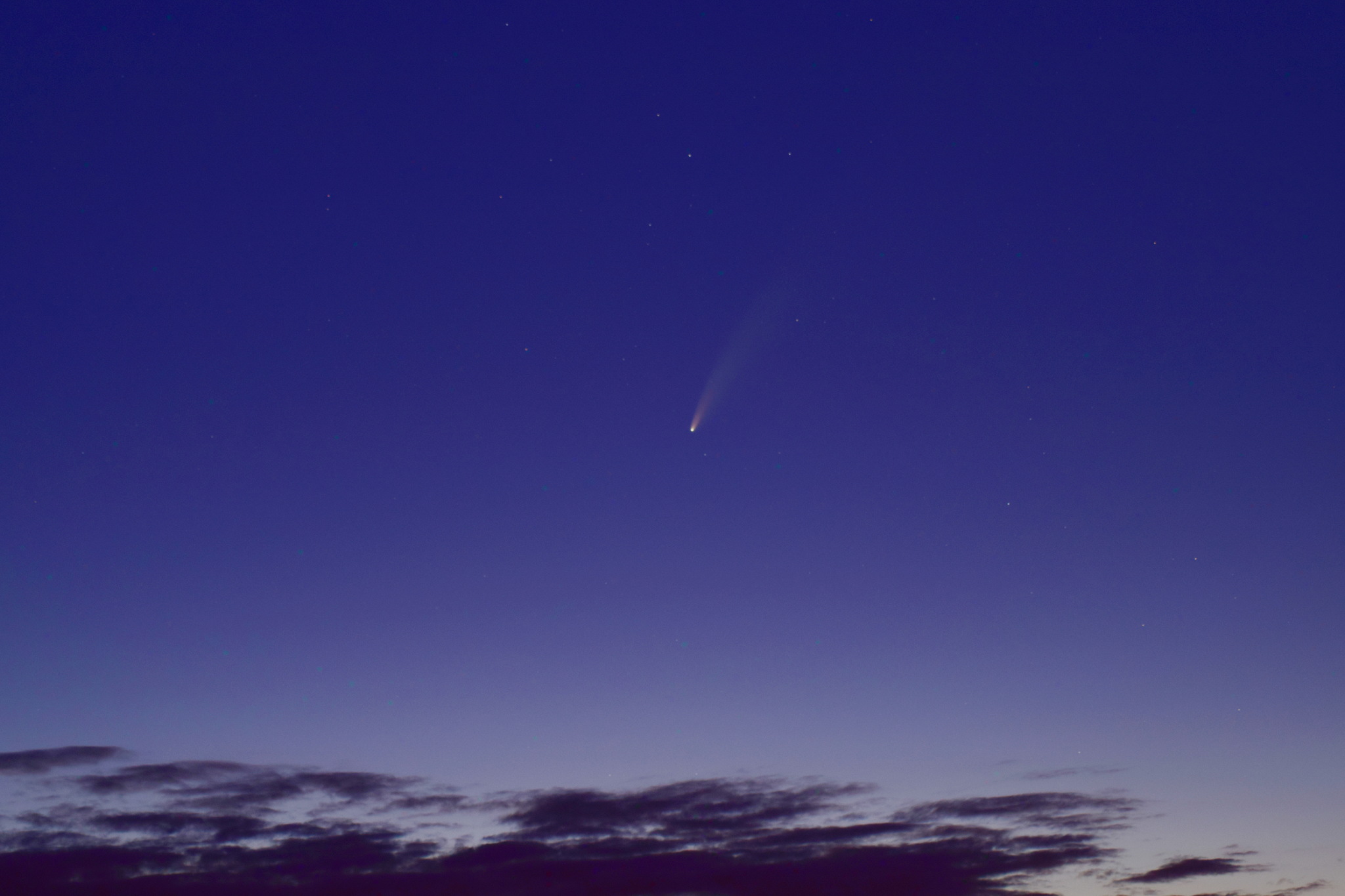 Caught the tailed one! - My, Comet, Astronomy, Longpost, Neowise