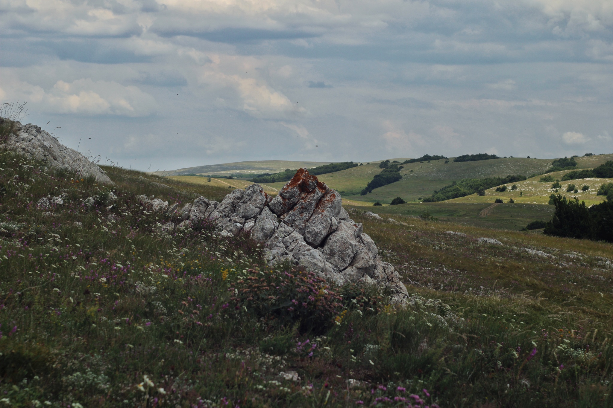 Karabi-yayla, walk, July - My, Crimea, The mountains, The photo, Walk, Landscape, Macro photography, Longpost