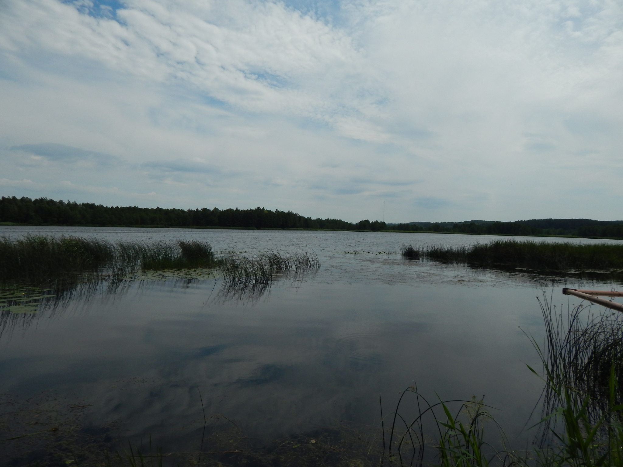 The ancient Puslovsky estate “Albertin” in Slonim. Belarus - My, Story, Travels, Republic of Belarus, Slonim, Manor, sights, Lake, Video, Longpost