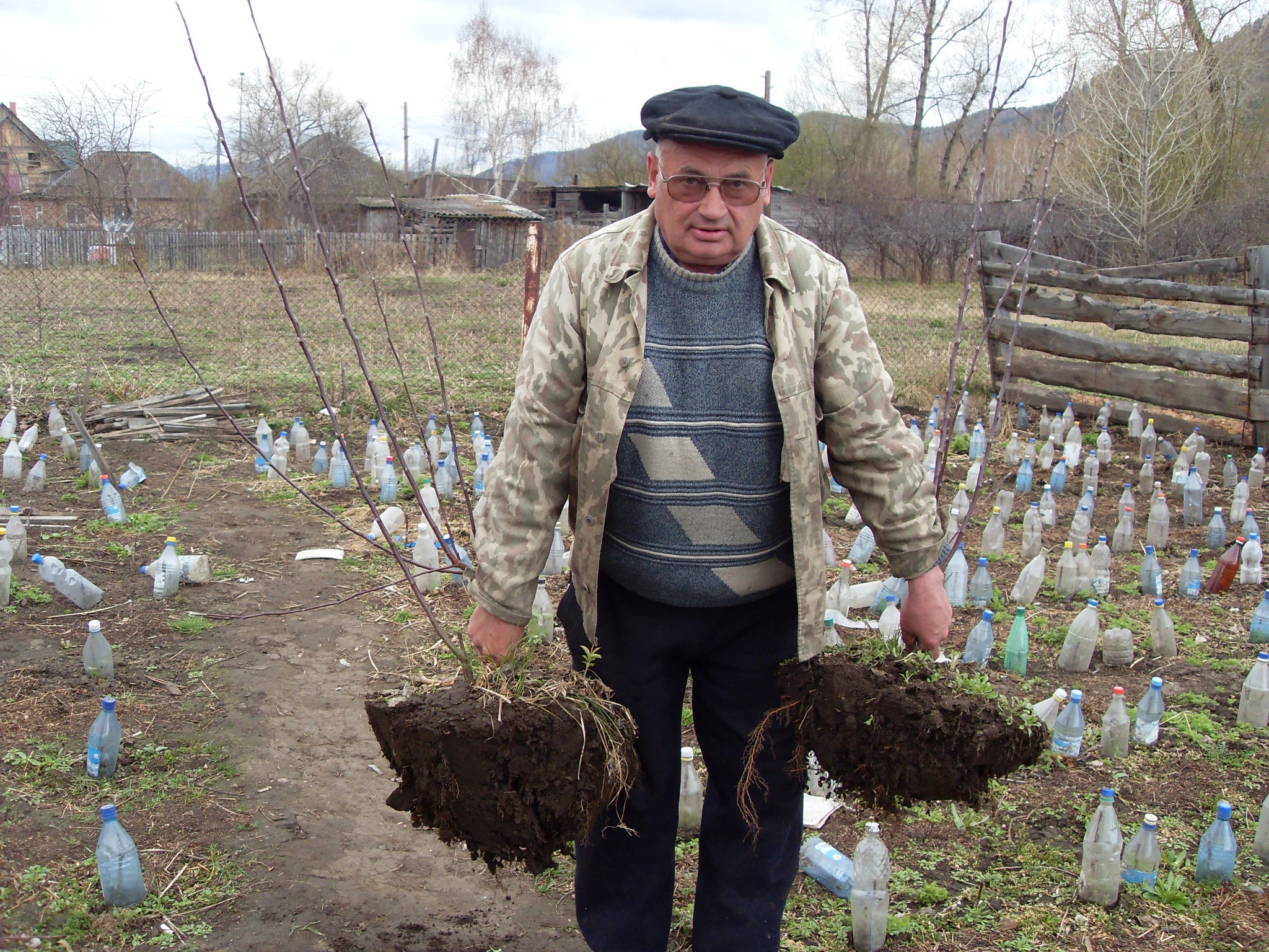 Retirement is a second youth - My, Retirees, Dacha, Work, Garden, Gardening, Siberia, Old age, Youth, Longpost