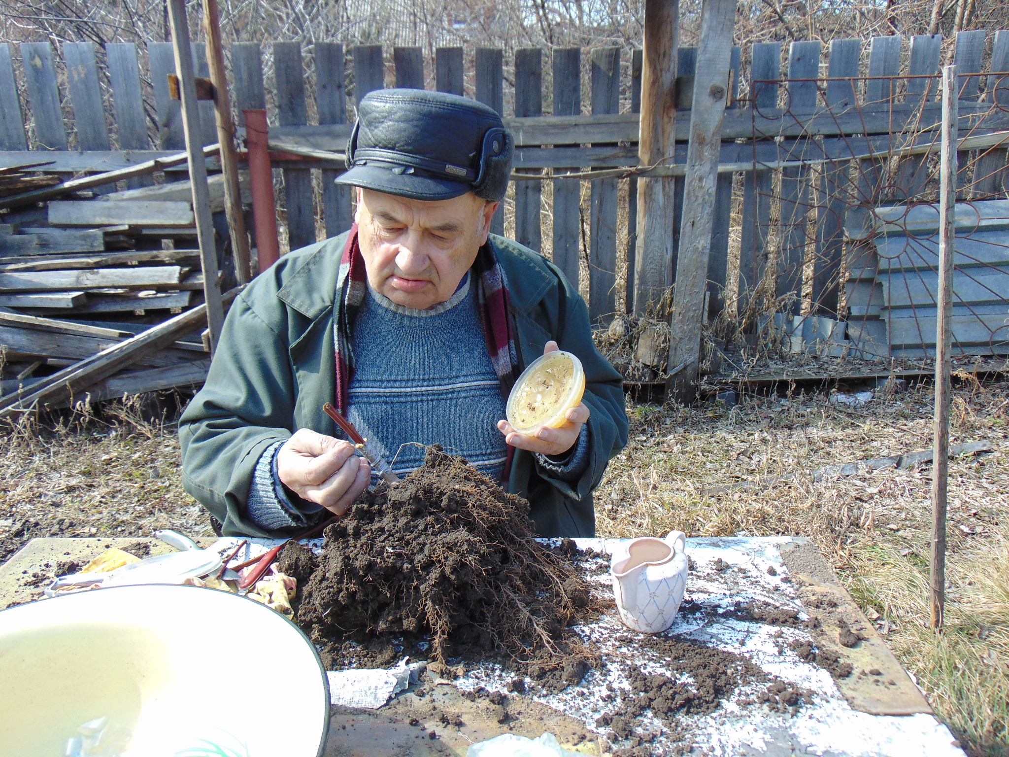 Retirement is a second youth - My, Retirees, Dacha, Work, Garden, Gardening, Siberia, Old age, Youth, Longpost