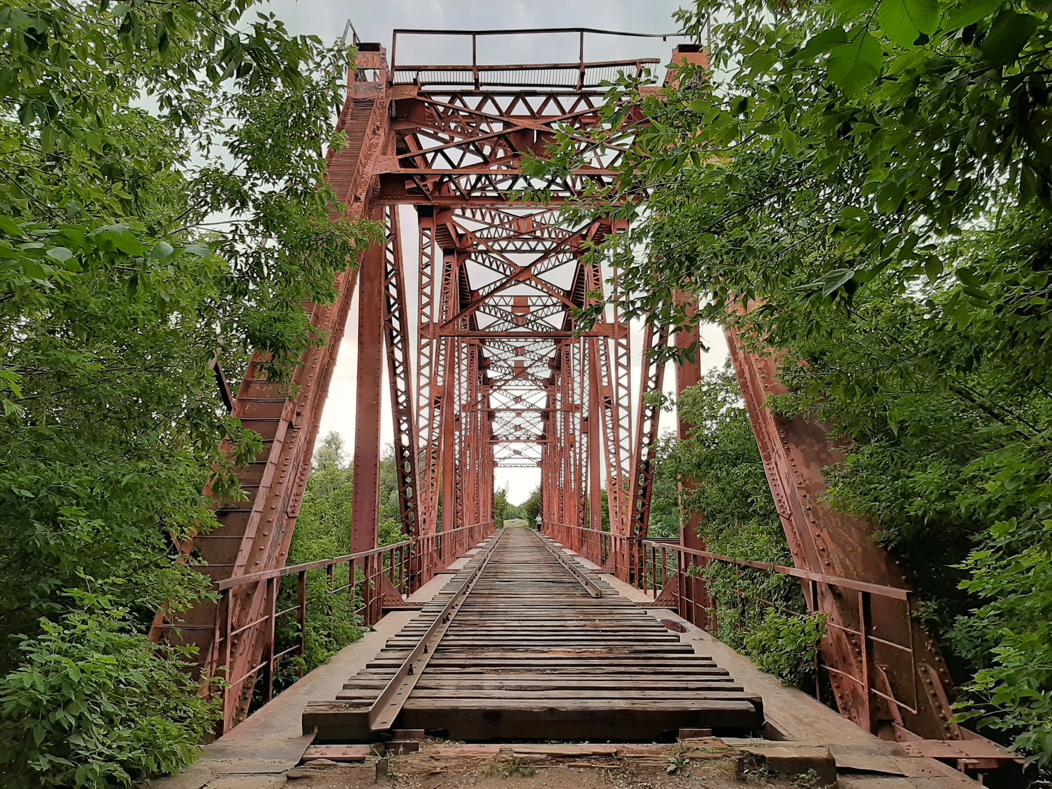 Quarantine travel - Day 36. The railway bridge and the terribly charming courtyards of Kursk - My, Kursk, Eagle, Bridge, Sejm, Travel across Russia, Budget travel, Tinder, Longpost