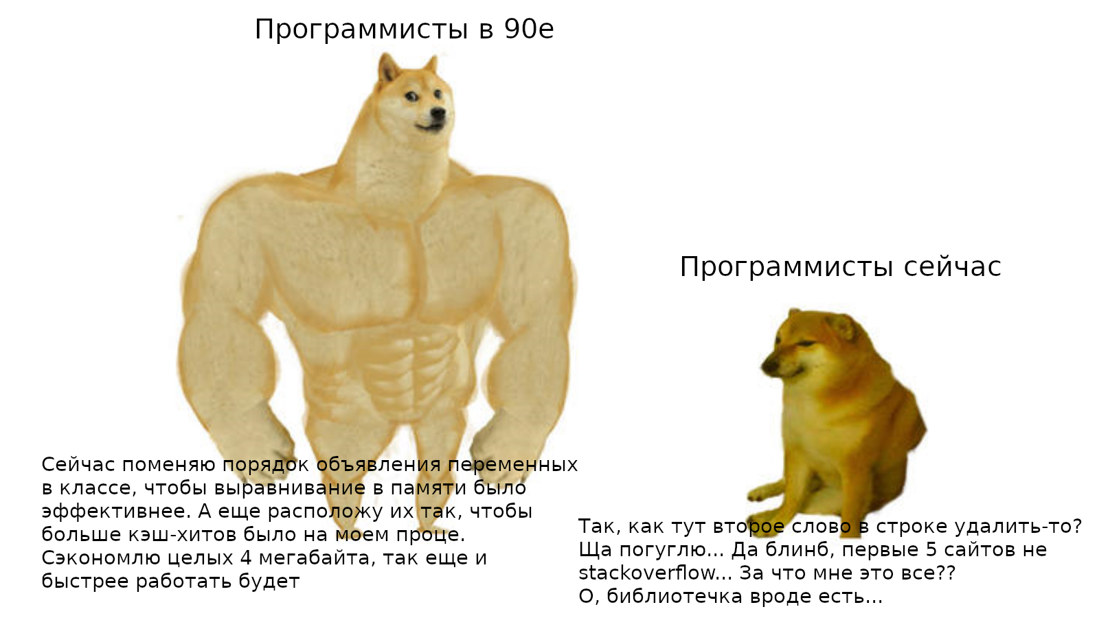 Doges - Images, Humor, Programming, Doge