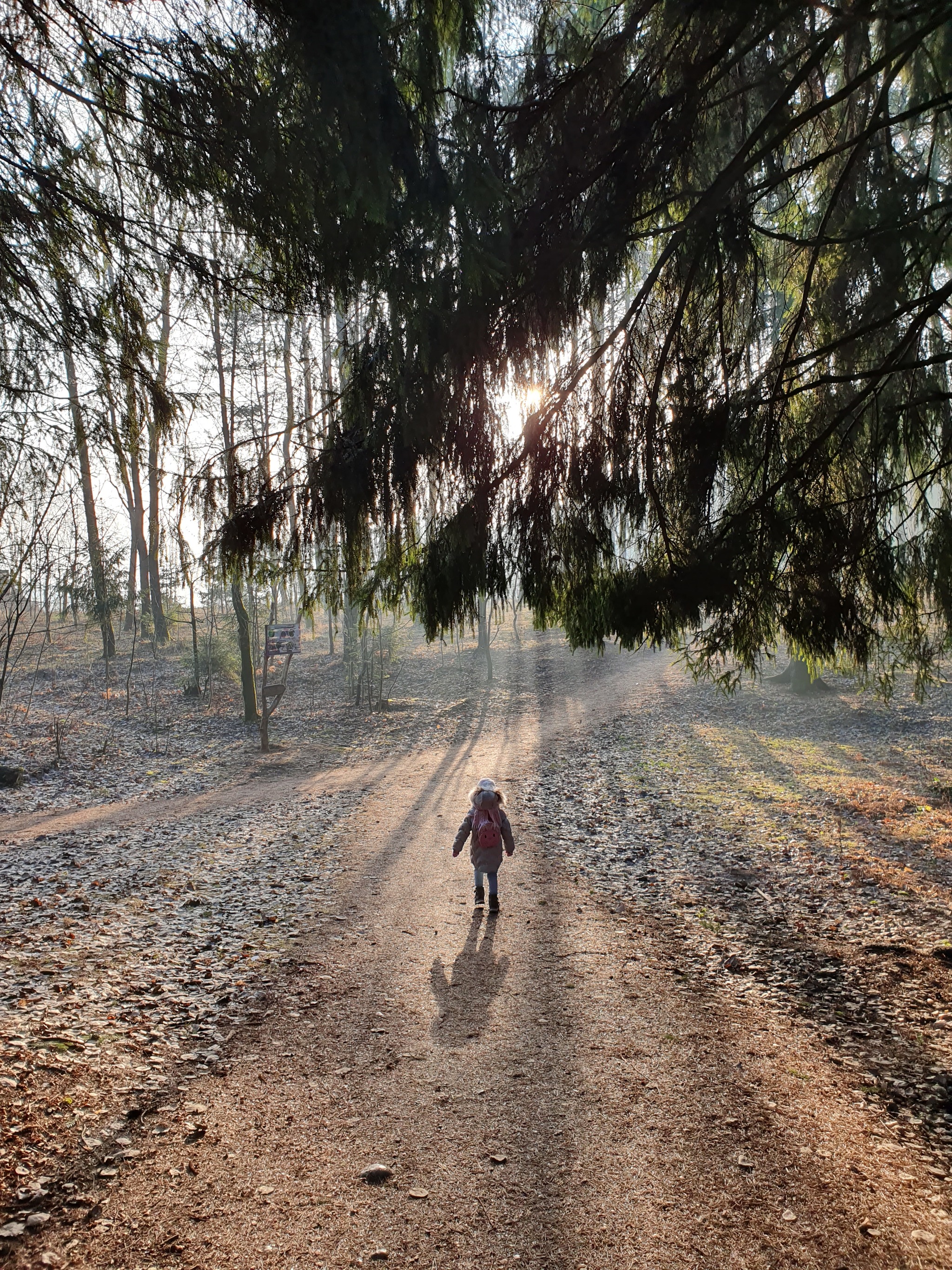 Little Red Riding Hood) - My, Forest, Little Red Riding Hood, Story, The photo, Mobile photography, Children