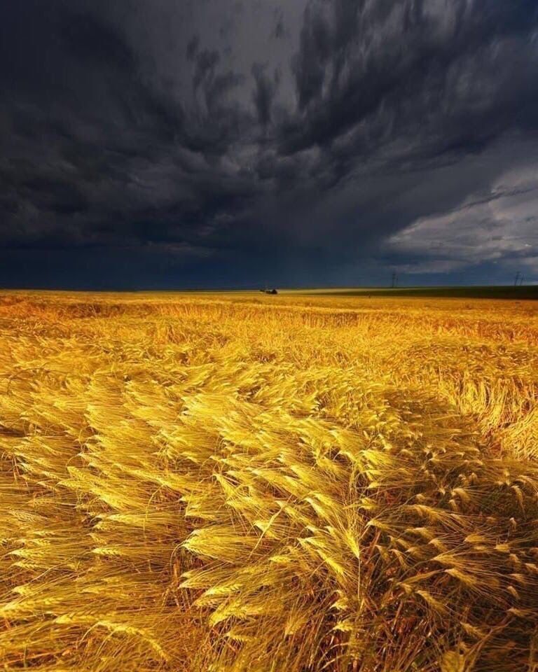 Run home, the storm is about to start! - Stavropol region, Thunderstorm