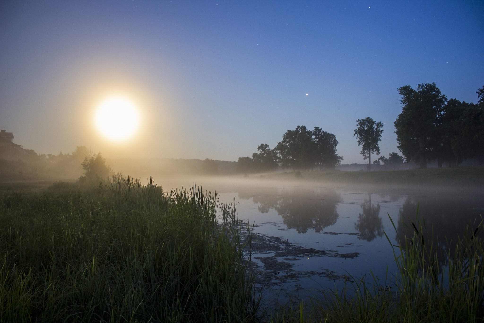 Hunting for the fog - Fog, The photo, Atmospheric, Canon, Longpost, Nature