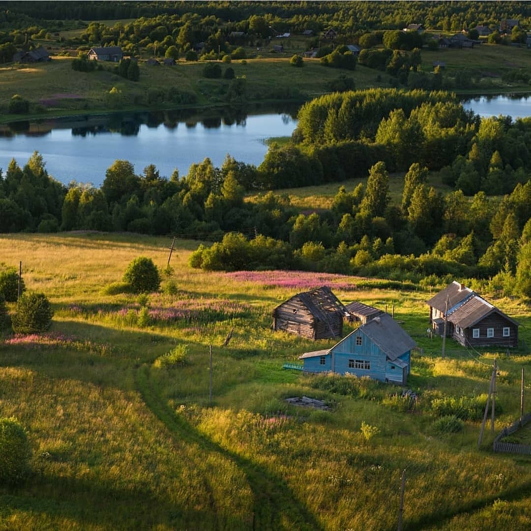 On the river bank - Nature, River, Village, Summer, House, The photo