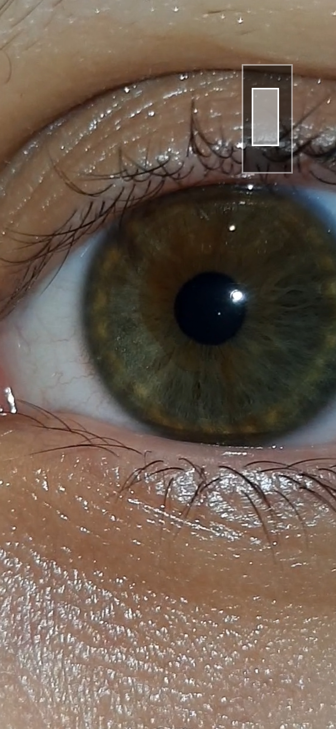 Глаза цвета серобуромалиновога