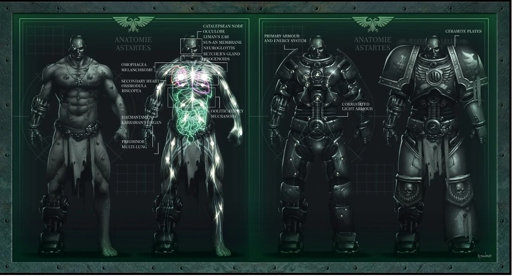 Creating a Space Marine - Implantation Technology - My, Warhammer, Space Marine, Video, Longpost, Warhammer 40k