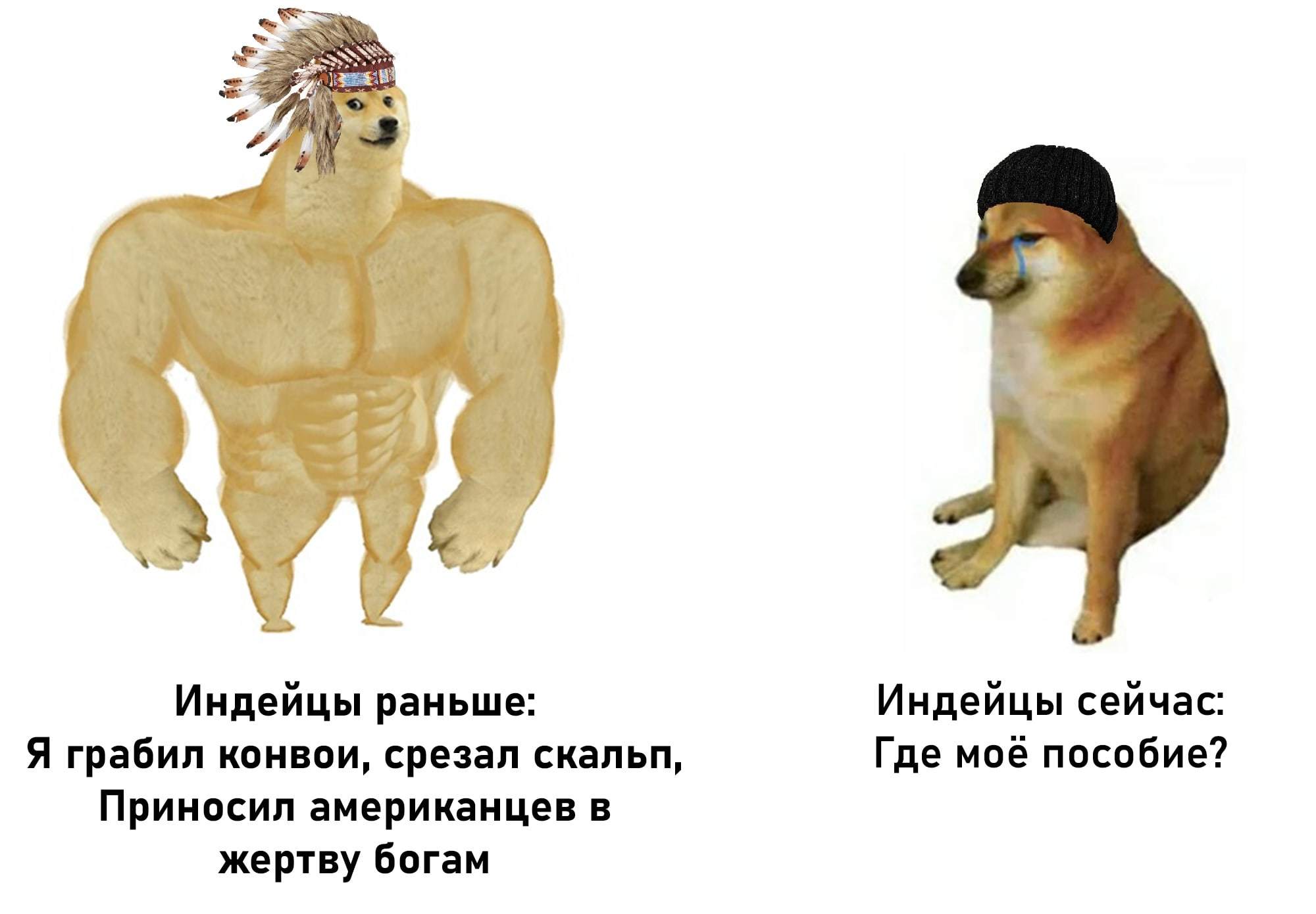 Накаченный доги