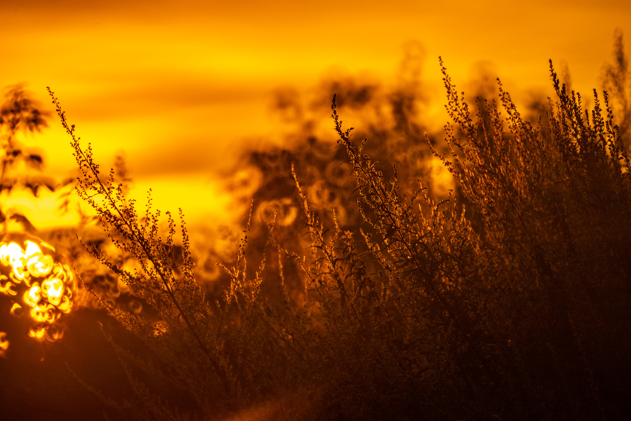 A little atmosphere of the evening suburbs - My, The photo, Tomsk, The sun, Sunset, Longpost