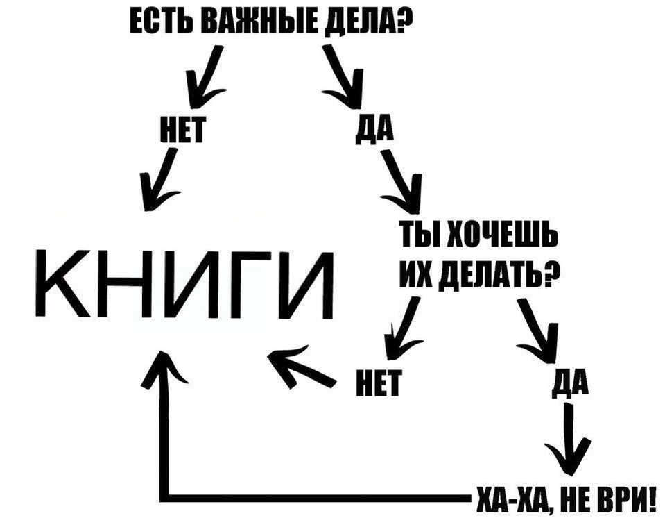 Life cycle - Books, Scheme, Affairs