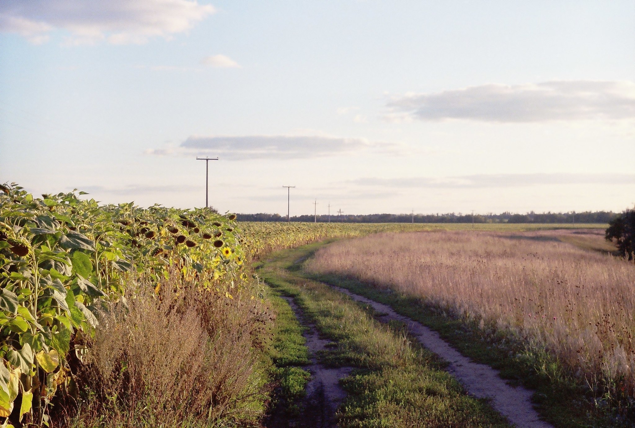 Village at Zenit - My, Zenith, Film, The photo, Its, Village, Landscape, Longpost