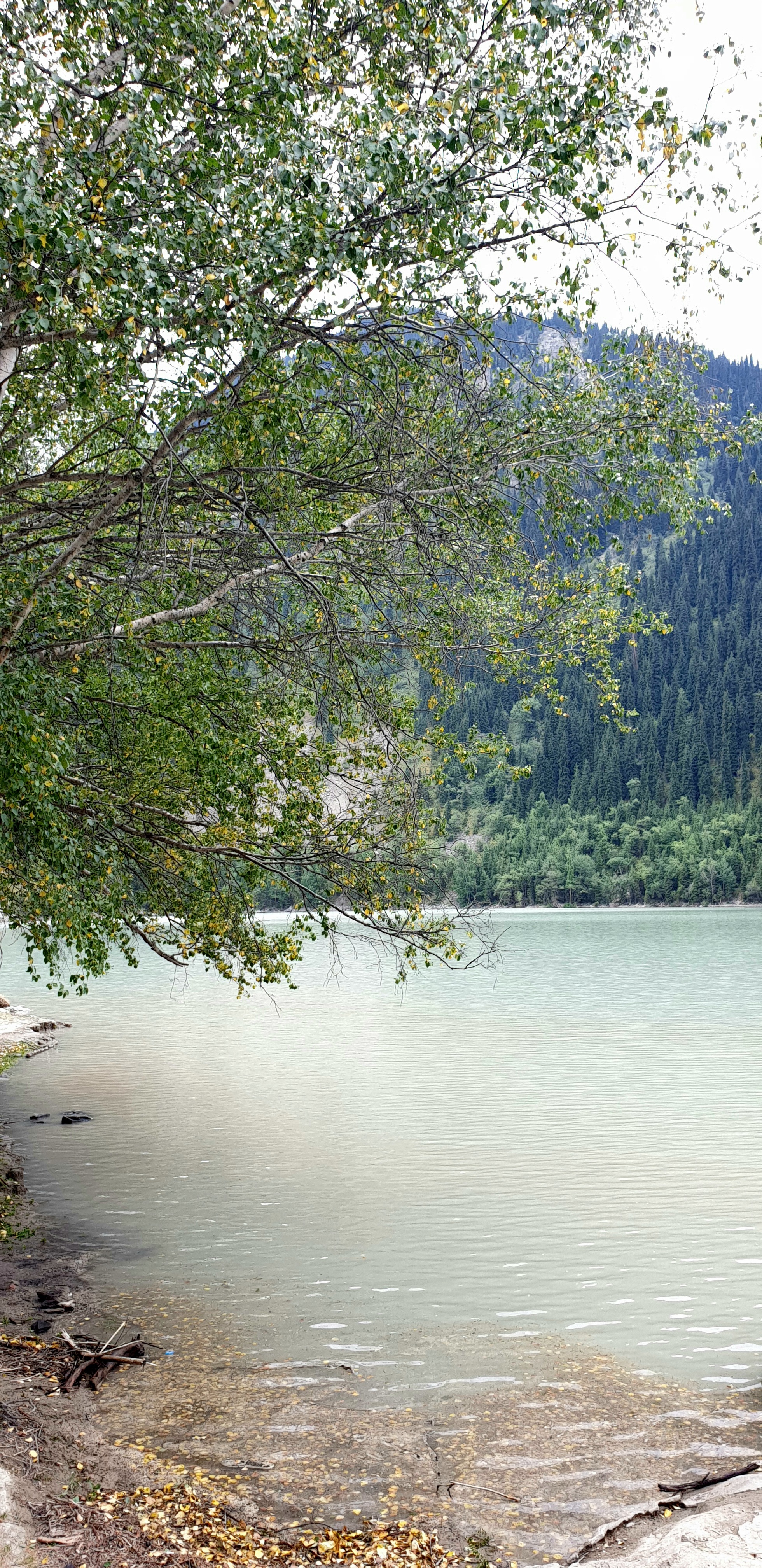 Issyk Lake - My, Issyk, Lake, Almaty Oblast, Almaty mountains, Nature, Longpost