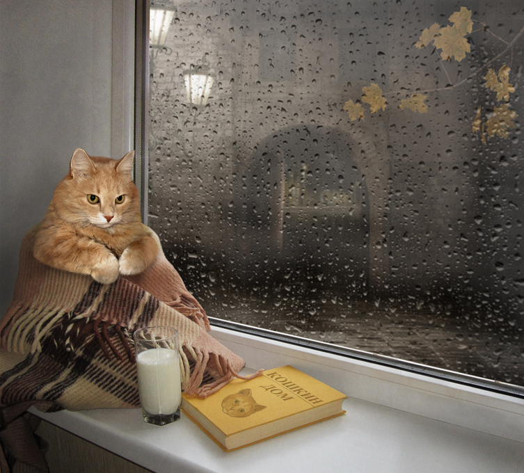 Dad, books and rain - My, Books, Rain, Book lovers, Village, Reading, Longpost