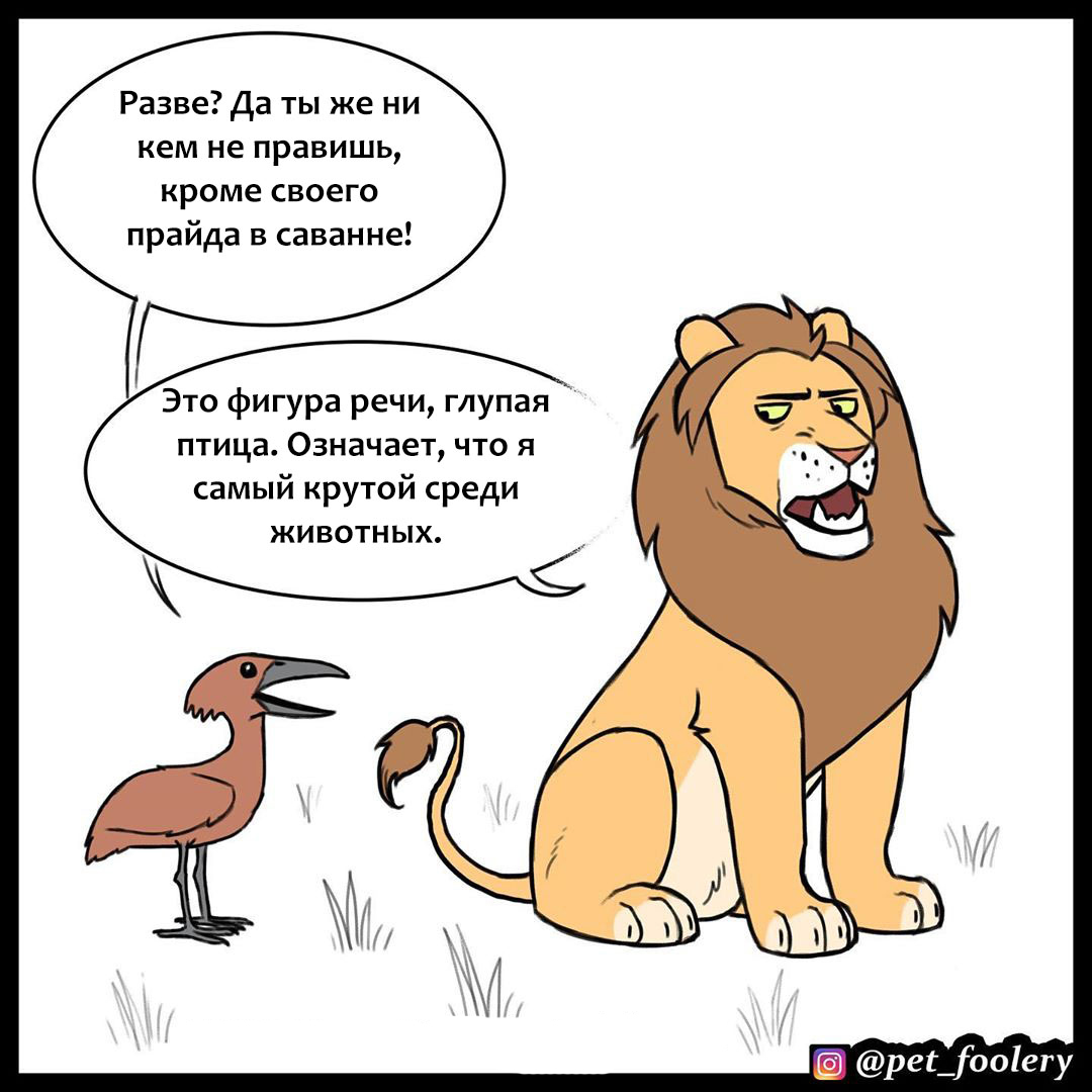 King of beasts - Pet foolery, Comics, a lion, Longpost