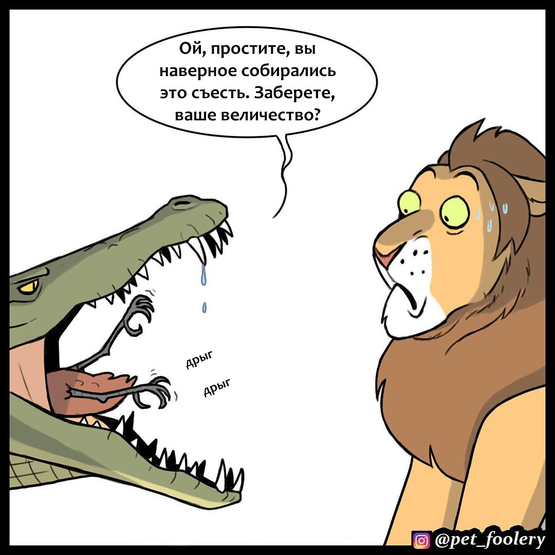 King of beasts - Pet foolery, Comics, a lion, Longpost