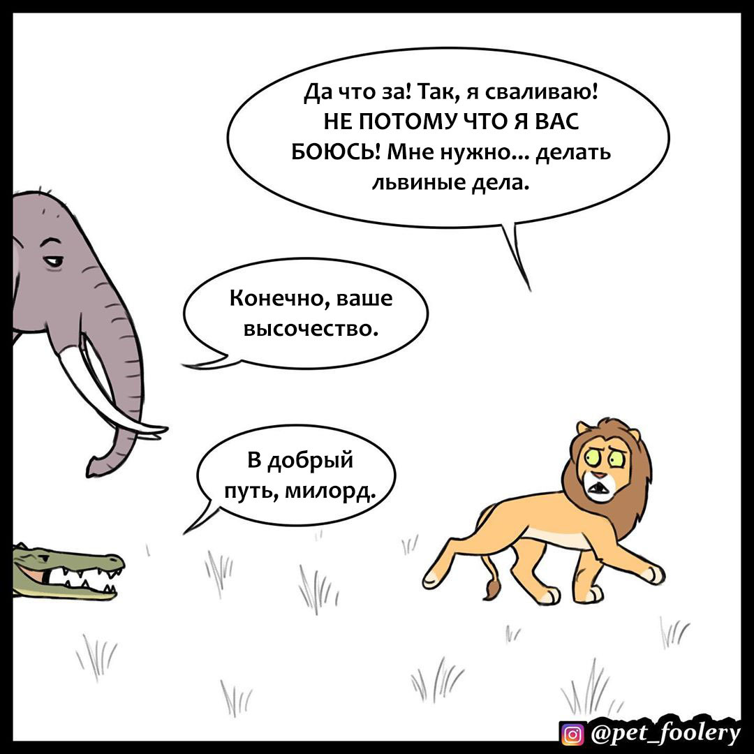 King of beasts - Pet foolery, Comics, a lion, Longpost